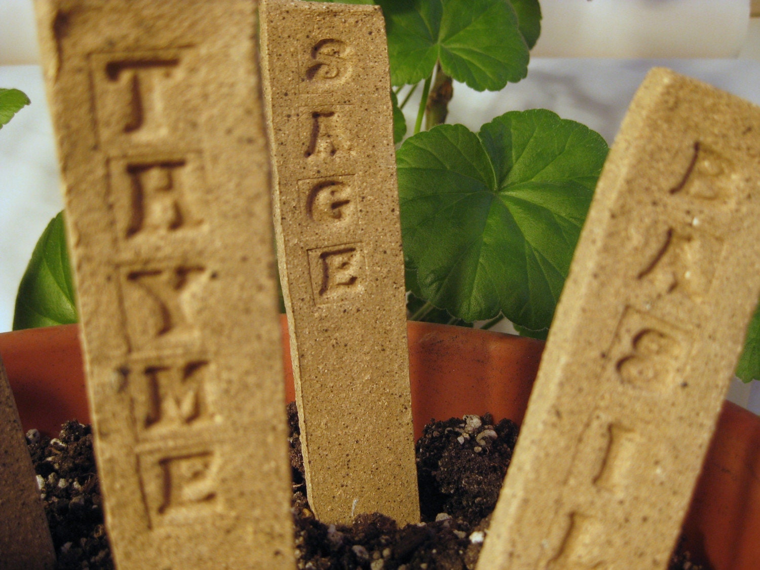 Thyme for Spring - Plant Markers - Set of 3