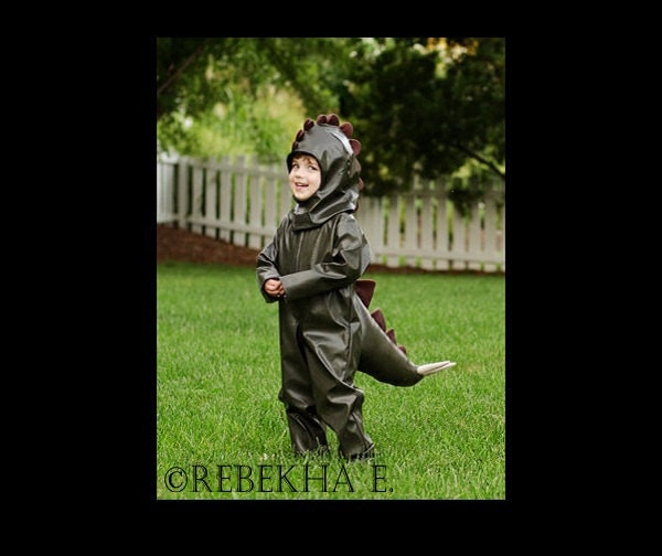 Stegosaurus Dinosaur Costume