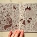 Endangered Species Colouring Book