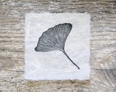 Gingko Leaf