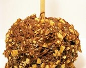 Double Dipped Chocolate Nut Caramel Apple
