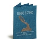 Brains and Splines