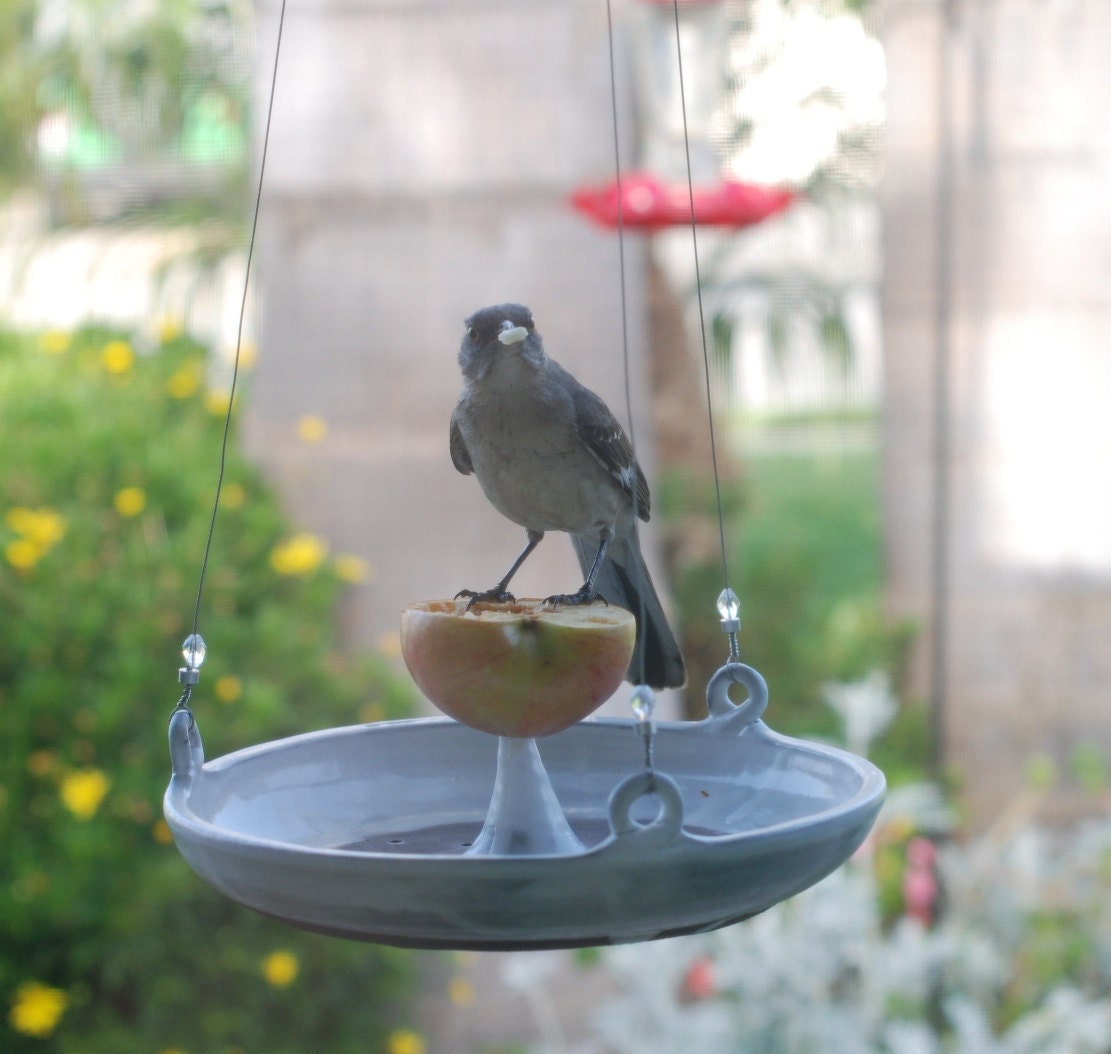 Fresh Fruit Bird Feeder - Hanging Bird Feeder