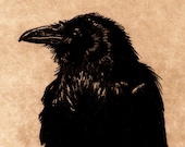 Award Winning Print -Raven Series (bird, Native American, crow) - RAVEN DECIDES Not to Create MAN- Etching in Brown ink 5 x 7inch 2012