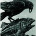 RAVEN Helps Salmon To Swim- Raven (bird, Salmon, Native American,crow) Series- Etching Blue Black Ink, 5 inch x 8 inches, 2012