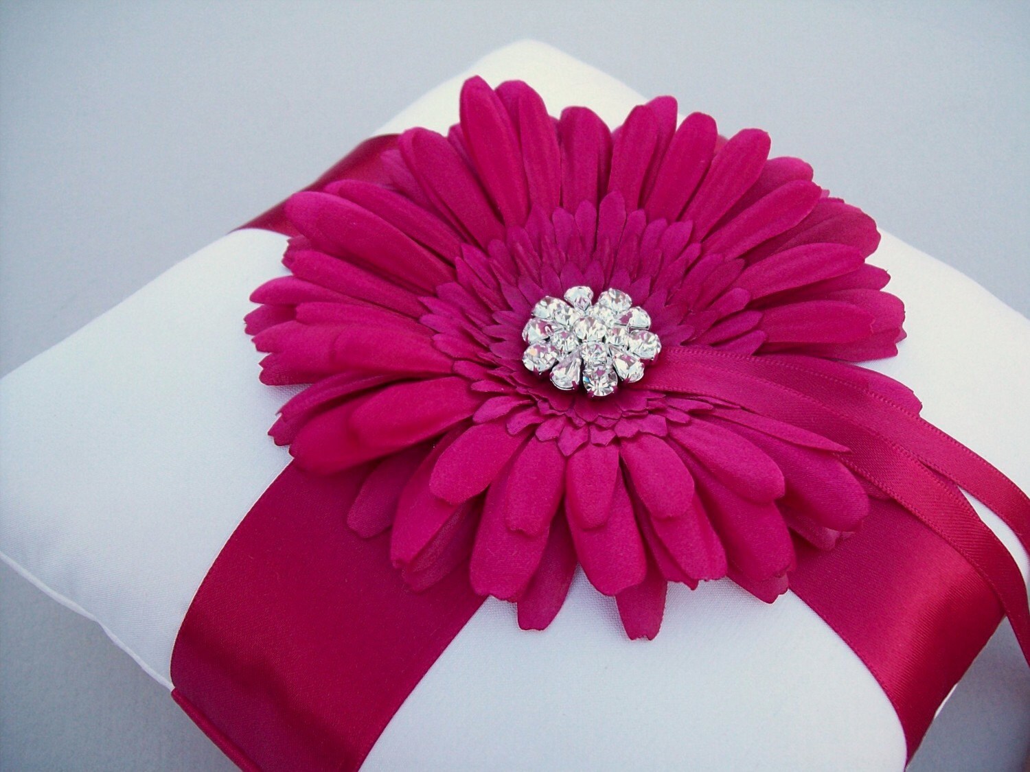 Fuchsia Gerbera Daisies