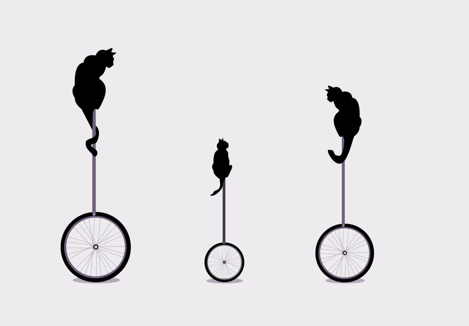 Cats 393.7x118.1in