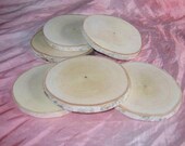 6 Birch Branch Slices