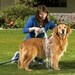 Pet Shampoo SKUNK-BE-GONE Get It Now, Be Ready from NorthWood Buffalo Ranch