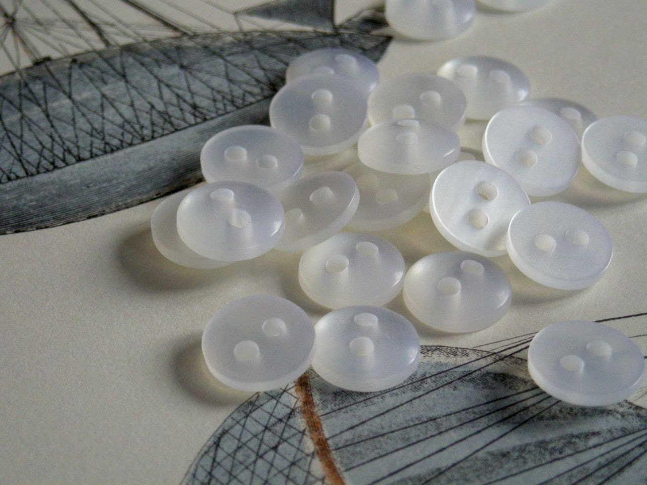 snow white, small blouse buttons, two holed, 23 pieces