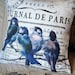 Pillow Cover...the Journal Bluebird cotton and burlap