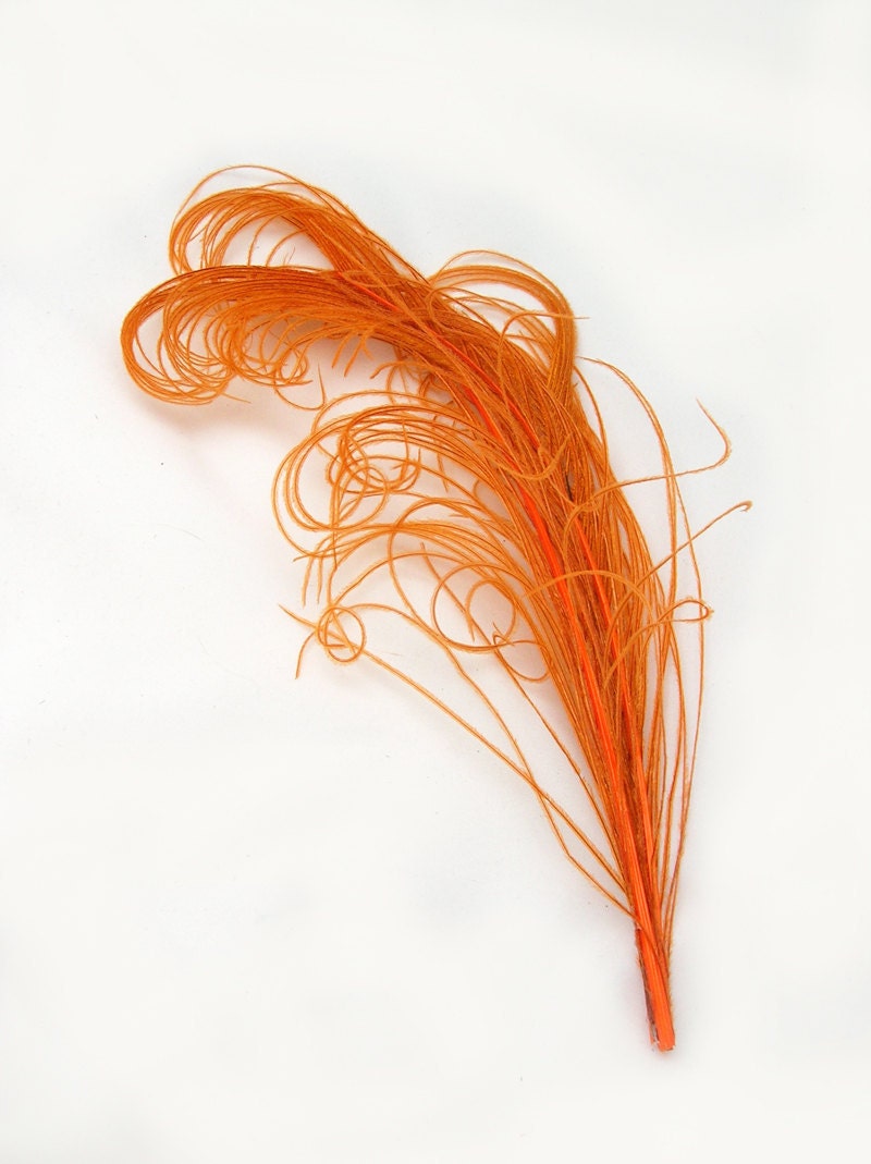 ORANGE peacock feather curled sprig (5 -8 Inches Long)(1 PLUME) hats, fascinators, headdresses, centerpiece floral arrangements