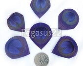 ROYAL PURPLE Peacock Feather Eyes Trimmed -  For appliques, wedding invitations, Shoe clips, earrings, and fascinators  (12 PIECES)(Large)