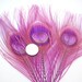 GRAPE PURPLE Peacock Feather Eyes. Pristine D.I.Y. feathers for boutonnieres, earrings, wedding bouquets and millinery (Large)(6 Feathers)