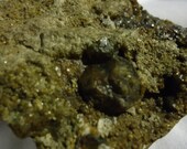 Garnet - Natural New Mexico Specimen in Matrix