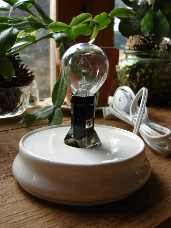 Apples Electric Ceramic Tart Warmer