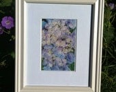 Original Blue Hydrangea Artwork, framed and matted 8 x 10", colored pencil botanical art, flower floral blossom drawing
