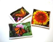 Organic lavender sachets set Summer home decor flowers room freshener