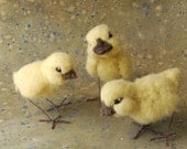 Needle Felted Chicks Kit