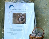 Needle Felted Sleepy Mice Kit