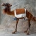 SALE: Nativity Camel Brown