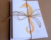Ocean Wonders greeting cards