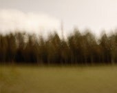 Limited edition 8 x 8 inch fine art Hahnemuhle photograph (landscape 034) olive green woodland home decor