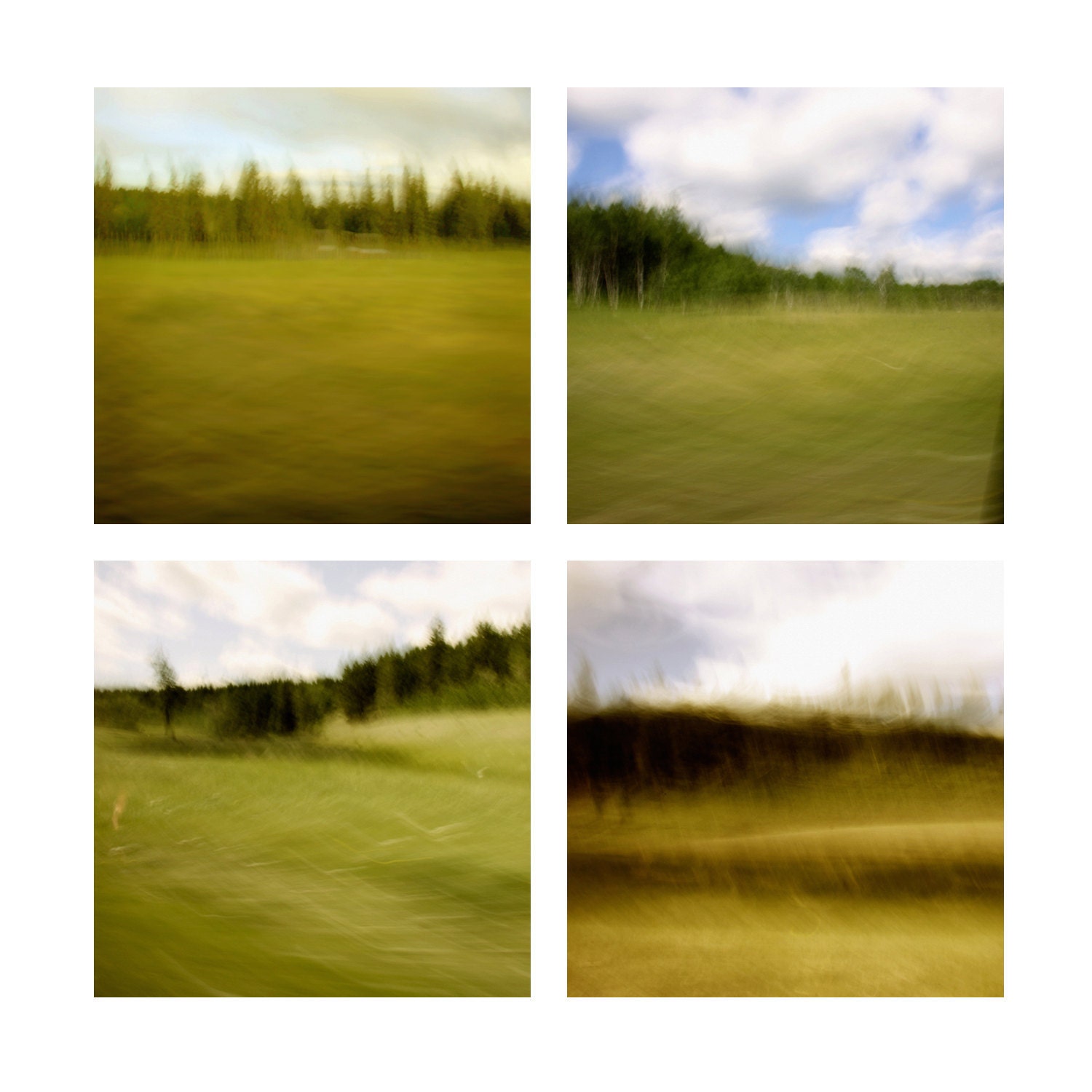 Instant collection of four 5 x 5 inch fine art Hahnemuhle photographs (olive landscape series) green earthtones shabby chic home decor