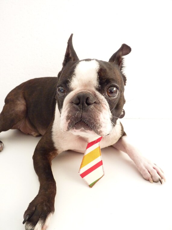 Groovy Vintage Pet Tie --The "Bubba Tie" for Happy Pets Vintage Stripes
