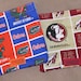 Florida Gators Snack Bag