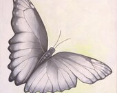 Spreading My Wings 8x8 Fine Art Print by Eriksdotter