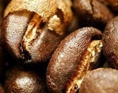 Papua New Guinea Tribal Aromas Roasted Coffee Sample 6 ounces