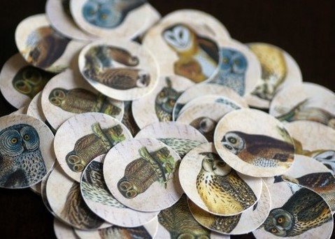 50 Eco Friendly Stickers: Owl stickers, owl envelope seals, owl illustrations, recycled stickers, 1 1/2 inch, 1.5" (3.8cm) circles