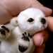Miniature bear PATTERN (emailed, PDF)  Flocke / by Tatiana Scalozub / Bestseller