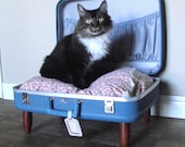 Luvable Luggage Pet Bed - Pink, Blue, Shabby Chic - 2 dollars goes to carescatshelter