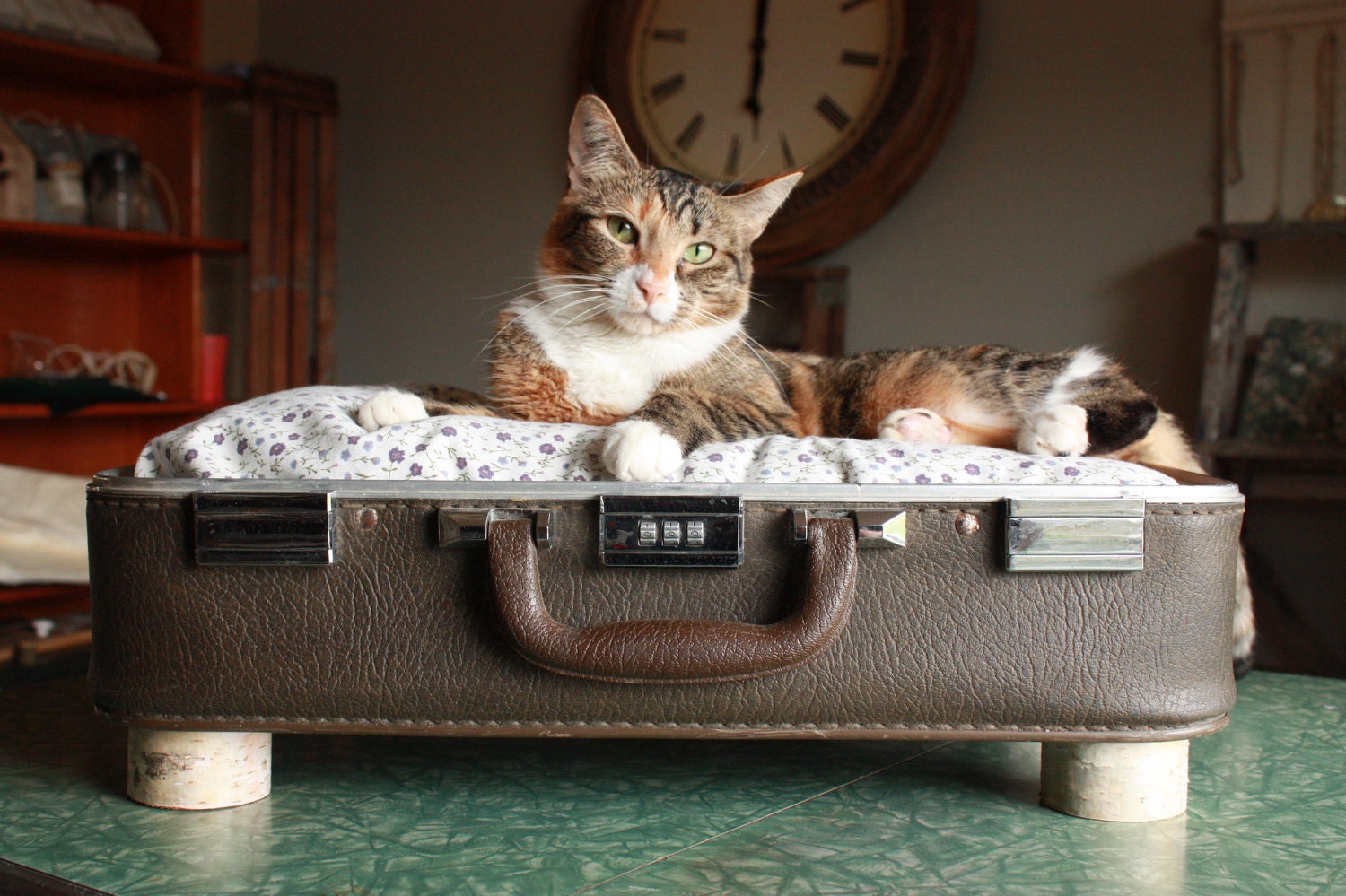 FREE SHIPPING  Cozy Cargo Suitcase Pet Bed - Brown and Purple - Birch Round Legs - Upcycled Luggage