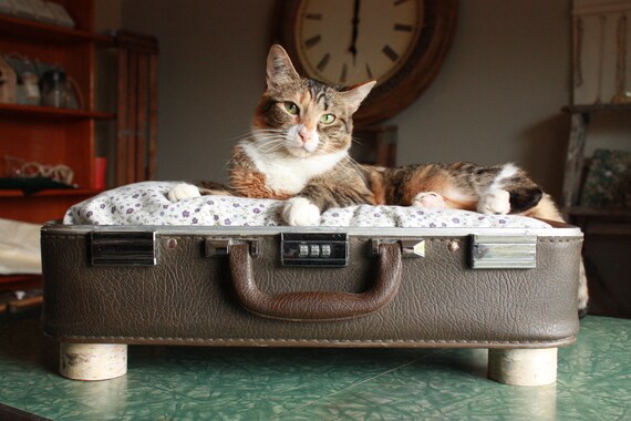 FREE SHIPPING Cozy Cargo Suitcase Pet Bed - Brown and Purple - Birch Round Legs - Upcycled Luggage