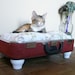 Upcycled Vintage Suitcase Pet Bed - Redish Orange Tweed - Black Handle with White Short Legs - Floral Pillow - Eco Earth Friendly