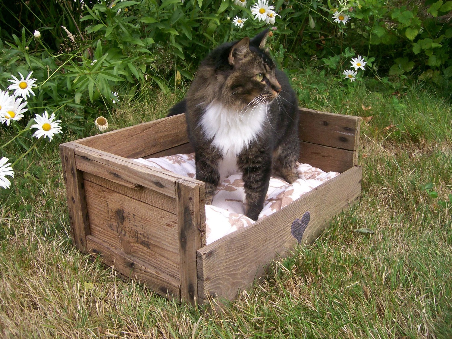 reserved Upcycled Country Pet Bed - Wooden Fruit Crate - Upcycled Shabby Chic - 2 dollars goes to carescatshelter