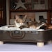 FREE SHIPPING Cozy Cargo Suitcase Pet Bed - Brown and Purple - Birch Round Legs - Upcycled Luggage