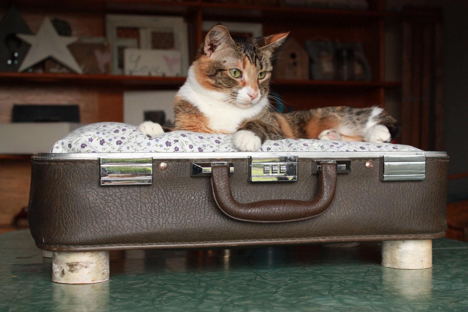 FREE SHIPPING Cozy Cargo Suitcase Pet Bed - Brown and Purple - Birch Round Legs - Upcycled Luggage