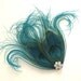 Feather Hairclip, Teal Peacock Feather, Feather Fascinator, Bridal Fascinator