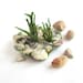 Felted brooch Grey stones Grass under 25