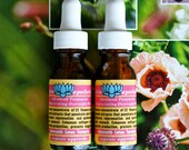 Advanced Treatment Regenerating Plant Sap Elixir with Jatamansi, Jasmine, White Lotus, and Amaranth by Skin Apotheke