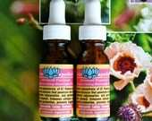 Advanced Treatment Regenerating Plant Sap Elixir with Jatamansi, Jasmine, White Lotus, Amaranth, Overnight Peel by Skin Apotheke