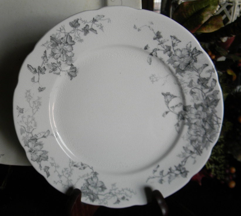 Light Black Gray Aesthetic Movement Transferware Plate Trailing Flowers  Staffordshire England