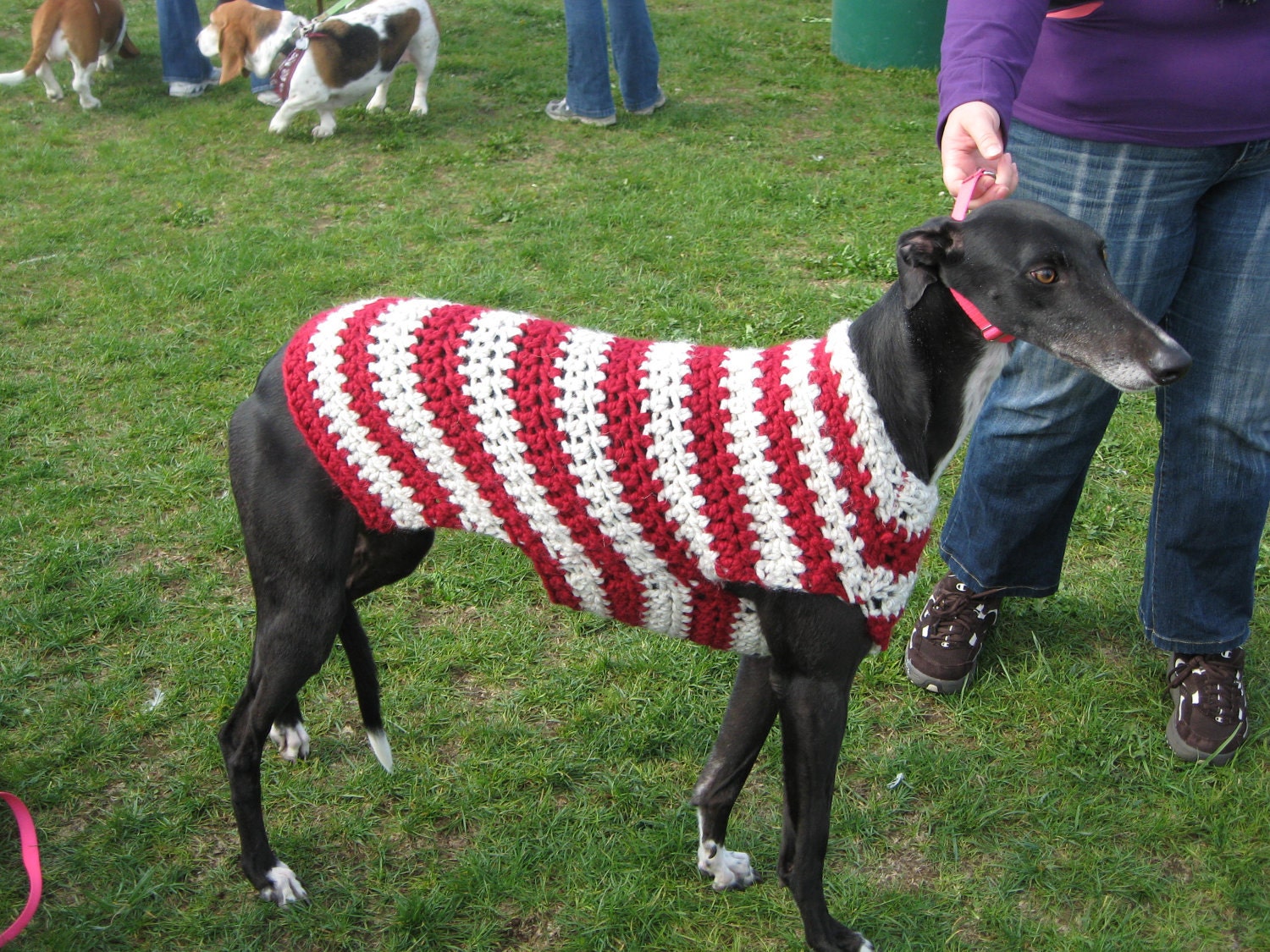 Large breed dog sweater in claret and navy