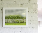 Photography Landscape Chartreuse Storm Clouds  Storm and Picket Fence 11x14 Modern Landscape