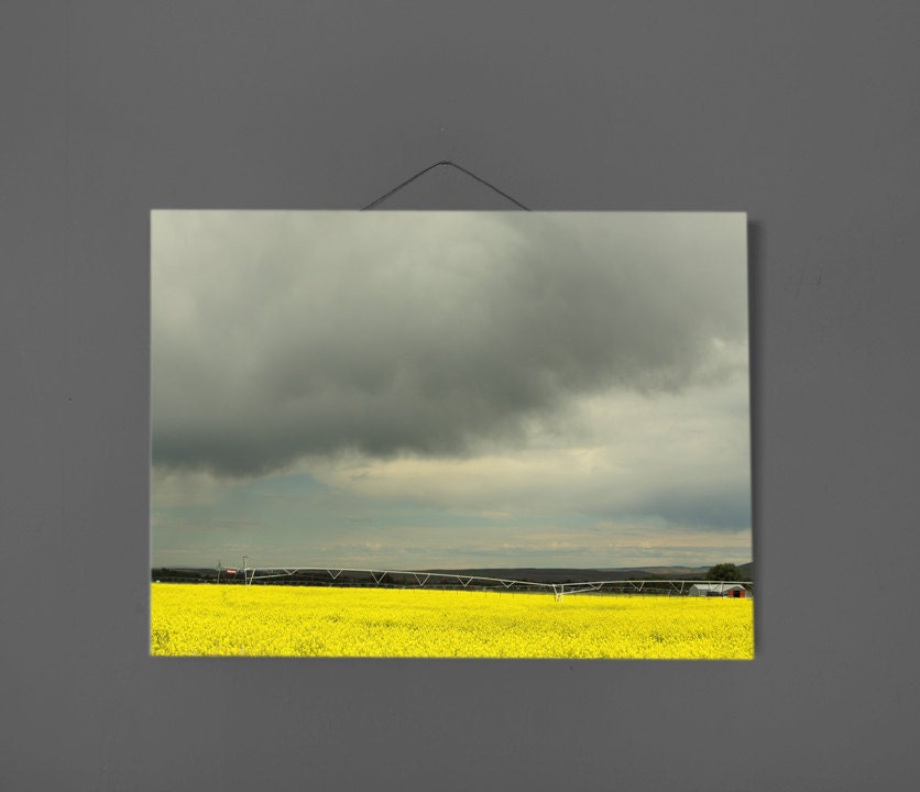 Modern Neon Landscape Photograph Canola Field  11x14   Archival Photograph