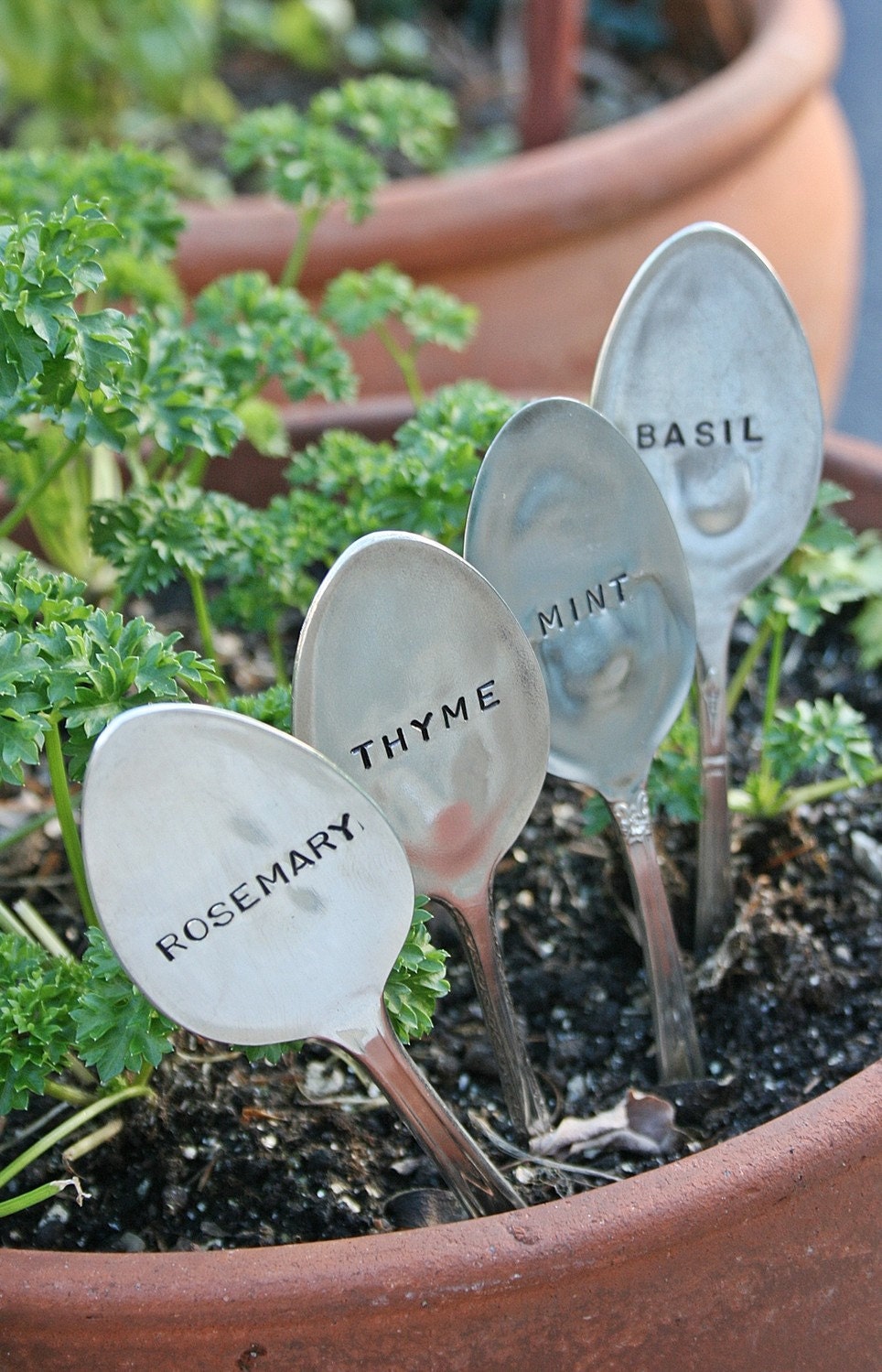 Basil Mint Rosemary Thyme silverware garden marker set silver plated  flatware